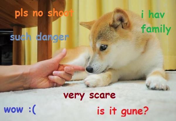 Funny Doge Meme Image