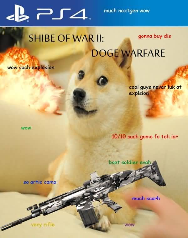 Funny Doge Meme Original Picture | QuotesBae