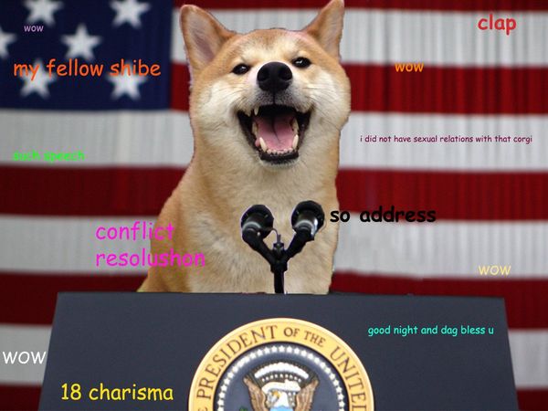 Funny Doge Meme Photos