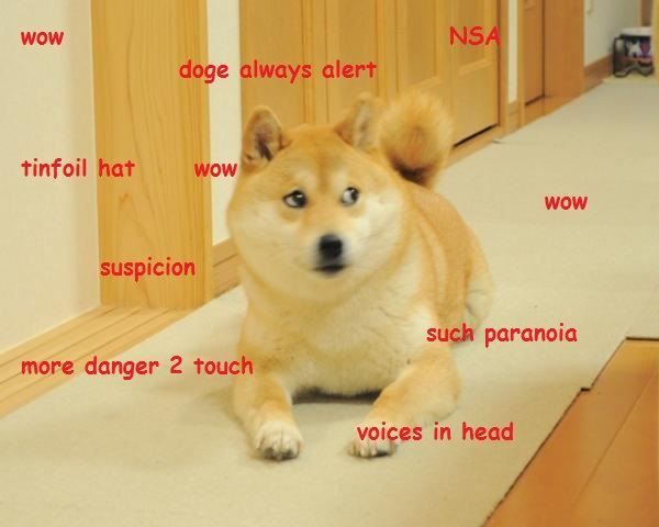 Funny Doge Meme Picture