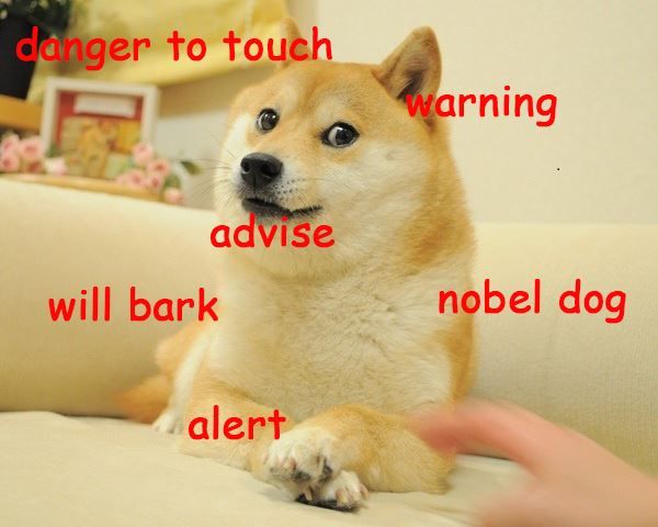 Funny Doge Sayings Photos