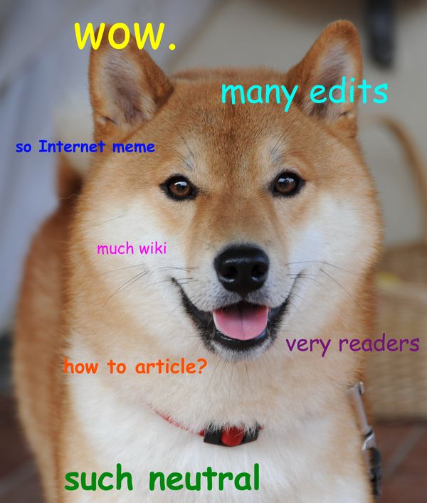 Funny Doge Sayings Picture