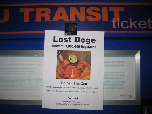 Funny Lost Doge Meme Joke