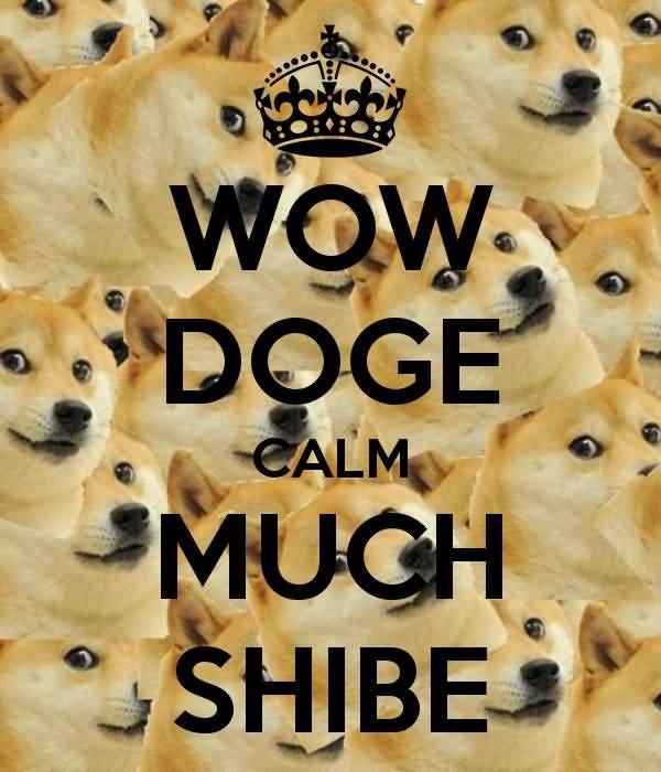 Funny Much Wow Dog Meme Picture