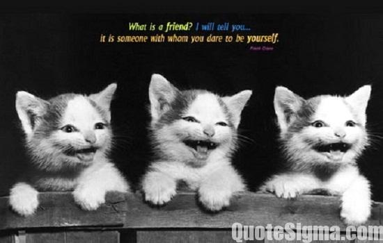 Funny Quotes About Friendship And Laughter 09