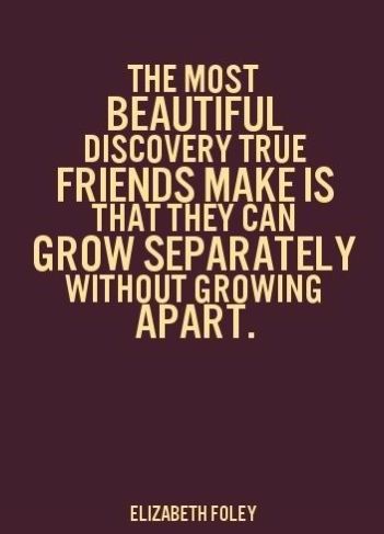 Funny Quotes Pictures About Friendship 04