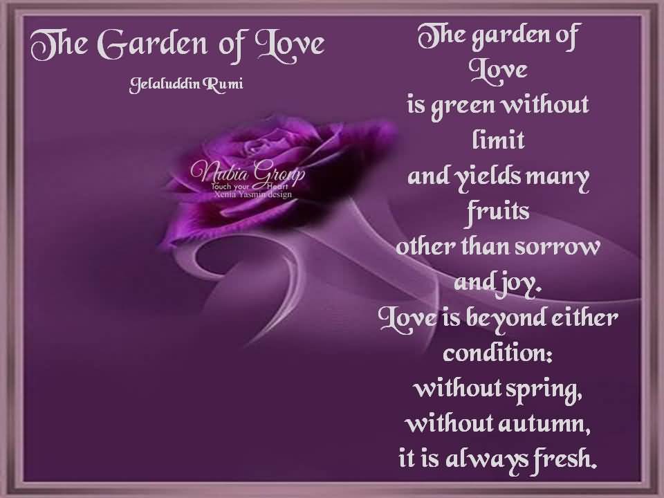 Garden Love Quotes 08