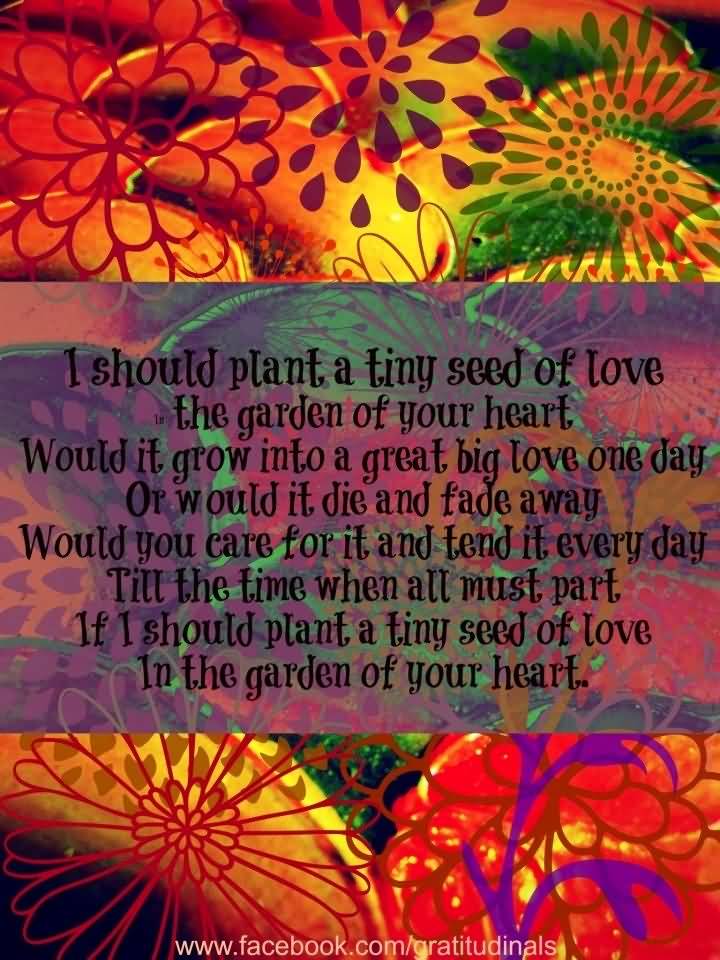 Garden Love Quotes 14