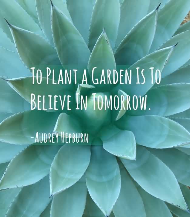 Garden Love Quotes 20