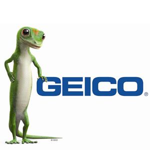 Geico Life Insurance Quote 17