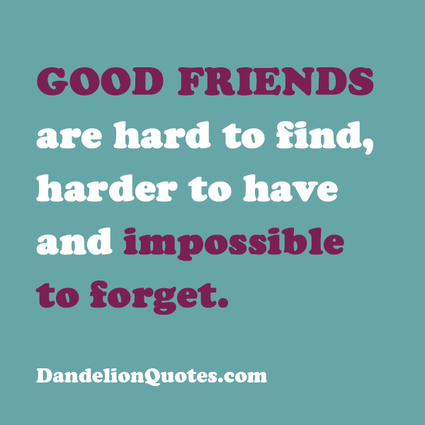 20 Good Quote About Friendship With Amazing Pictures