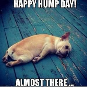 Hump Day Memes Happy Hump Day Almost There
