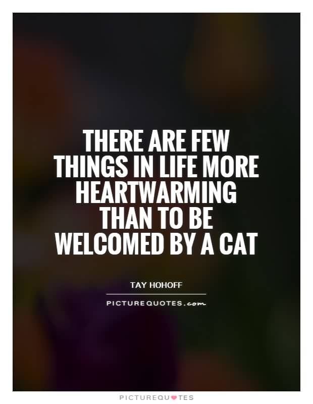 Heartwarming Quotes About Life 02