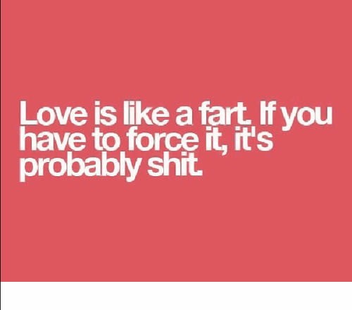 Hilarious Love Quotes 14