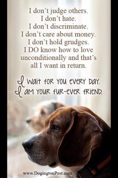 I Love My Dog Quotes 01