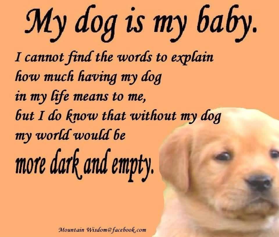 I Love My Dog Quotes 03