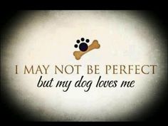I Love My Dog Quotes 11