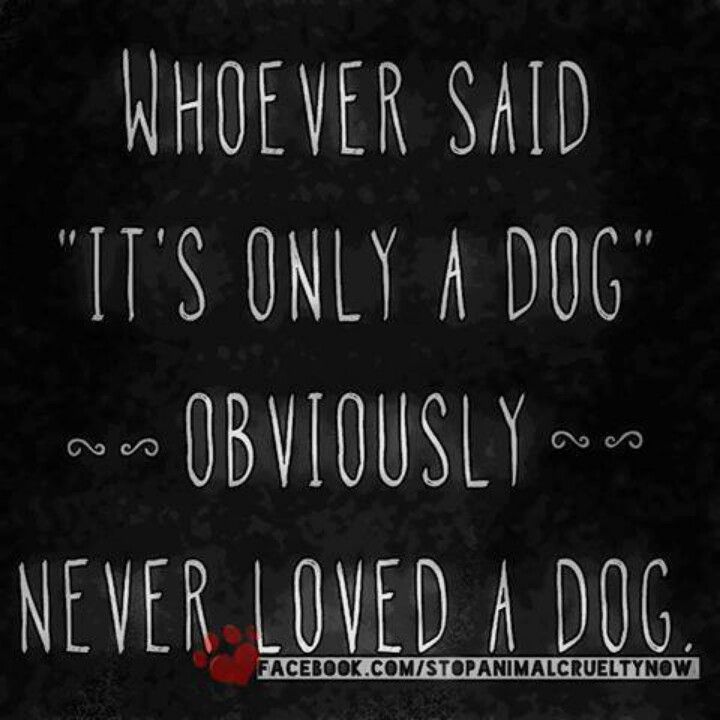 I Love My Dog Quotes 13