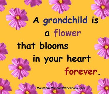 I Love My Granddaughter Quotes 10