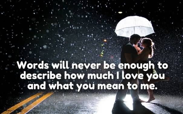 I Love You So Much Quotes 13