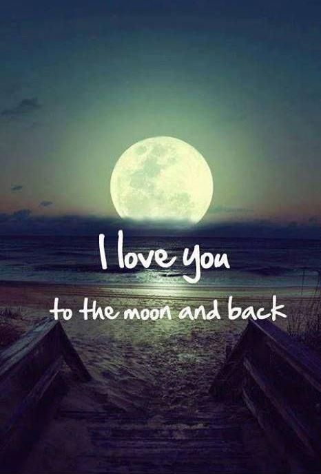 I Love You To The Moon Quotes 05