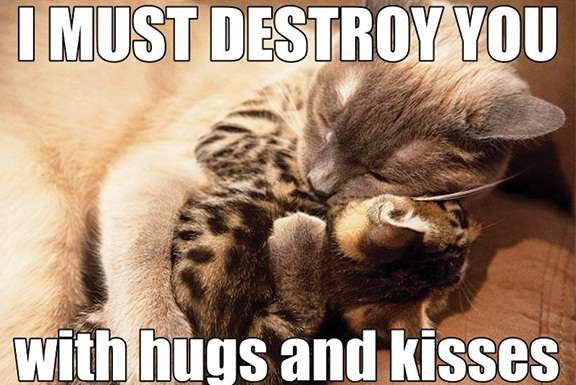 I Must Destroy You With Hugs And Kisses