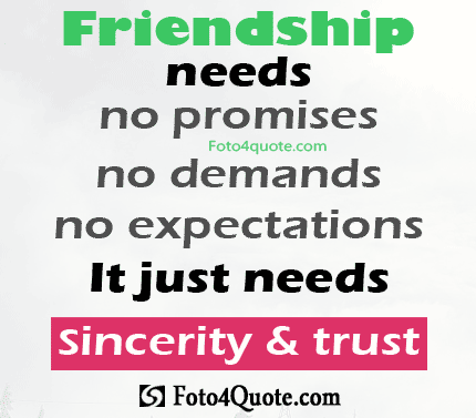 Images About Friendship Quotes 10