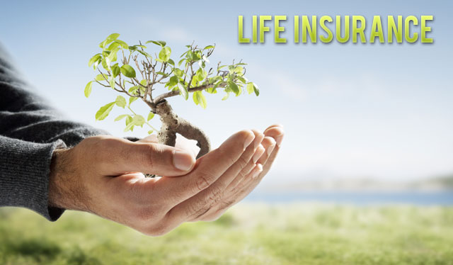 20 Individual Life Insurance Quotes Sayings & Images