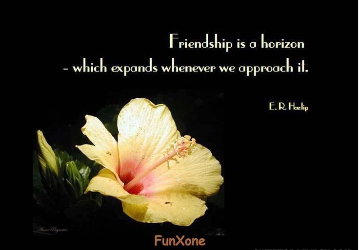 Inspirational Quotes About Friendships 07