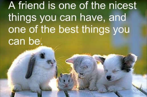 Inspirational Quotes About Friendships 15