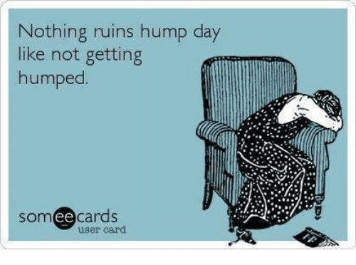 Nothing Ruins Hump Day Like Not Getting Humped