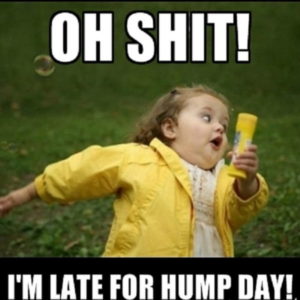 Oh Shit! I'm Late For Hump Day!