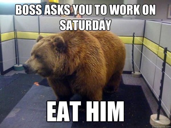 Work on Saturday Memes Funny