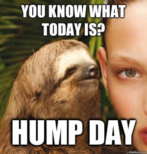 Hump Day Memes You Know What Today Is Hump Day