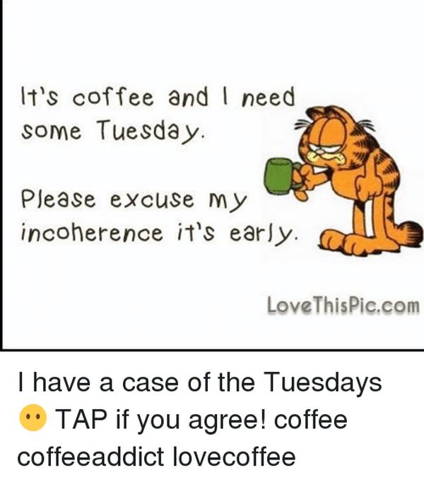 cool tuesday coffee meme images