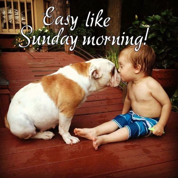 cute sunday pictures memes
