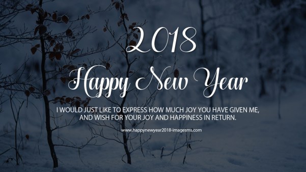 2018 New Year Quotes Sayings Image Picture Photo Wallpaper 07