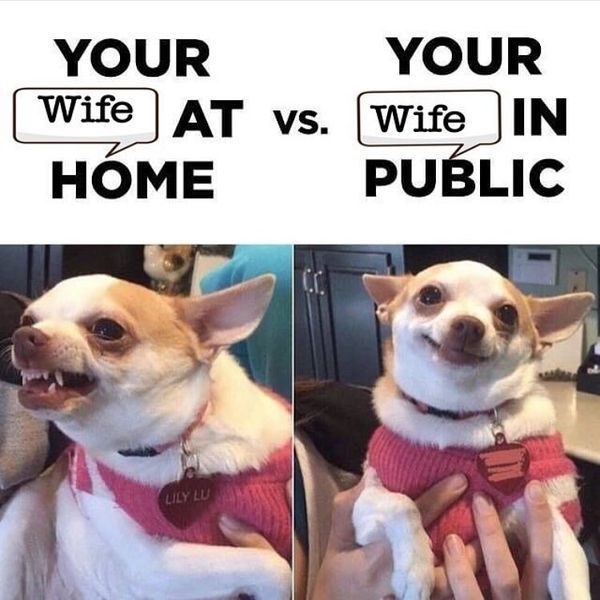 Amusing Your Wife at Home vs at Public Joke