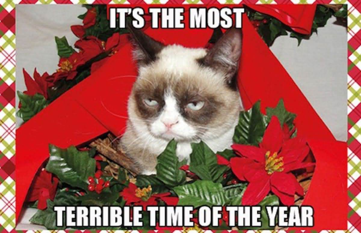 20 Top Christmas Meme That Make Your Holiday Happy