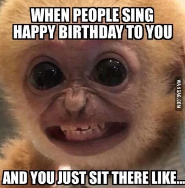 Funniest common funny birthday meme for friend photo