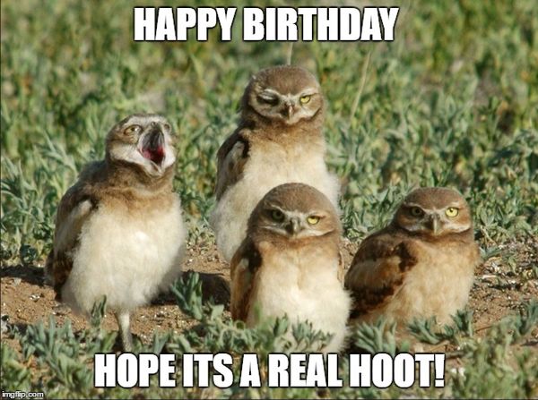 Funniest happy birthday owl meme joke