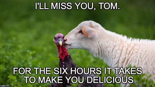 Funniest lamb miss you meme picture