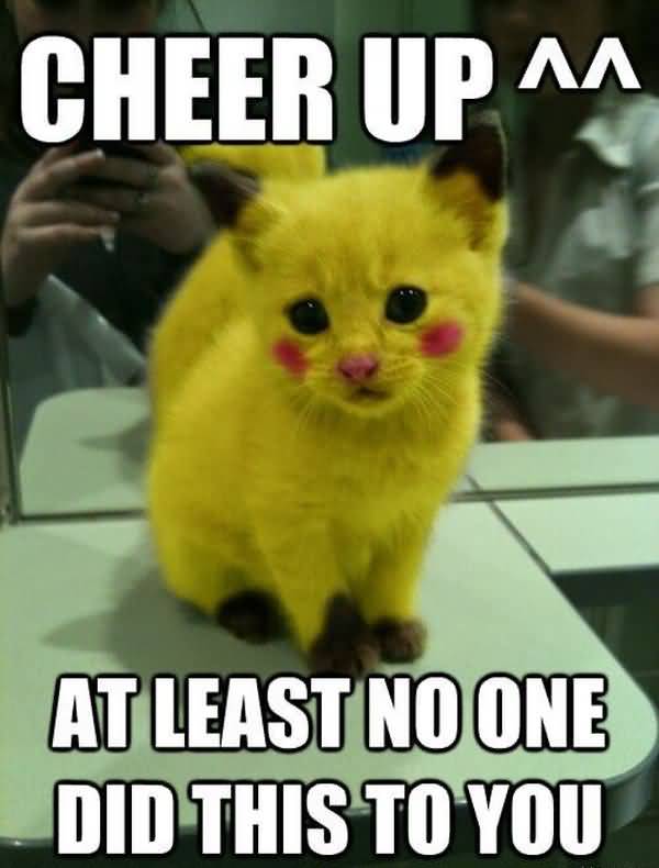 Funny Cheer up cat meme photo