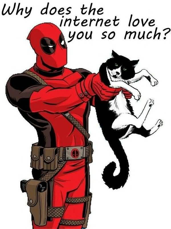 Funny Deadpool Love Meme Image