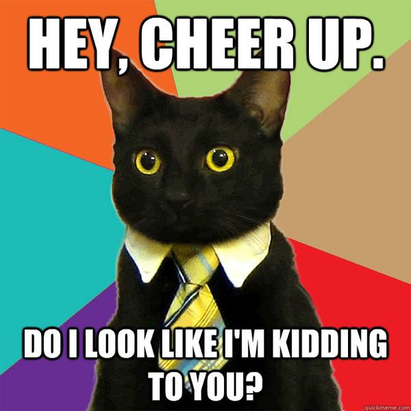 Funny Glamorous cheer up cat meme joke