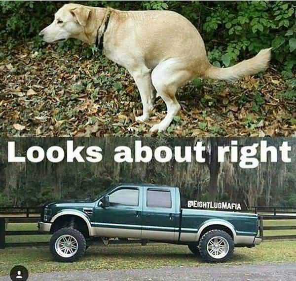 Funny amazing ford hater jokes memes