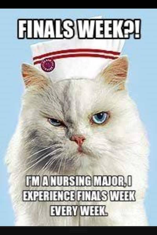 Funny amazing student nurse humor picture