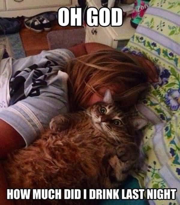 Funny bad hangover funny pictures jokes