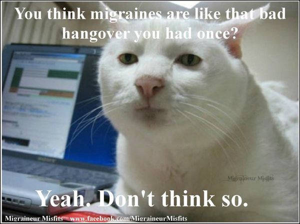 Funny bad hangover funny pictures memes