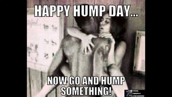 Funny best hump day meme image